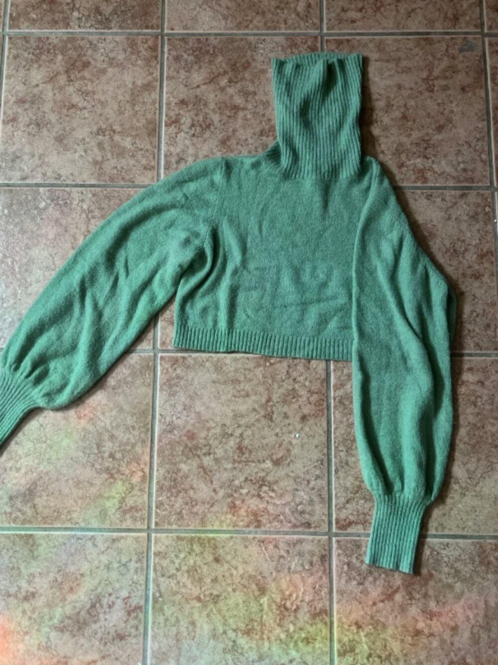 Cropped long sleeve turtleneck